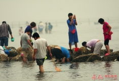 赶海