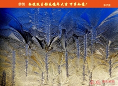 木子克给“人像摄影”版块各位老师，影友拜年了！