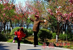 【2016人像摄影大赛】+春天里