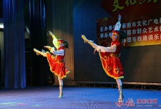 弘杨民族文化（续）