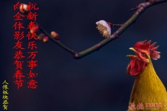 恭贺春节