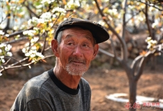 梨园老者（二）