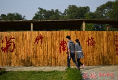 走过菊、竹、籣、梅的地方