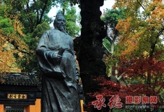 三角枫与范仲淹