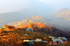 雾漫光秃子山