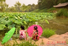 荷塘雅趣活动花絮（二）