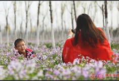 母子情深