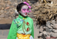花会与少年