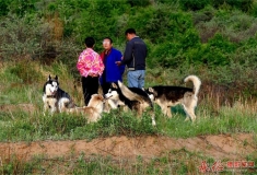 那山，那人，那狗