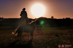 夕阳下的牧马人