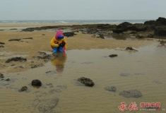 寻找贝壳的小朋友