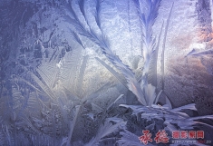 窗花