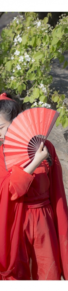 赏花
