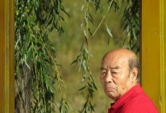 山庄画中人