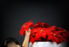 【2016人像摄影大赛】+我就要这一枝