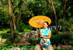 女人四十一朵花