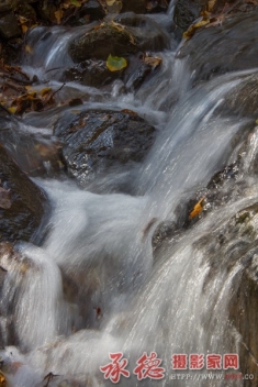 水韵秋声