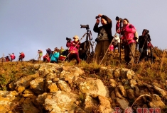 可爱可敬的摄影人