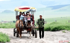 座着马车游草原