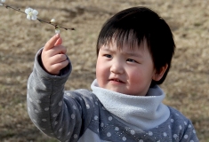 【2016人像摄影大赛】+花蕾