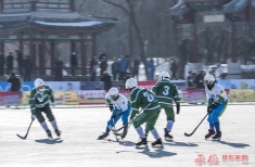 班迪球比赛--争夺