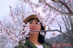 花开四月