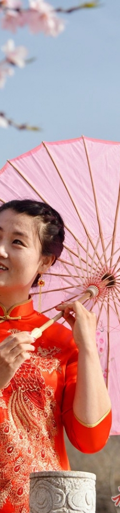 人面桃花