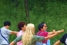 老外在承打太极