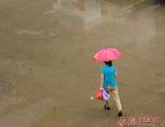 雨急人匆行
