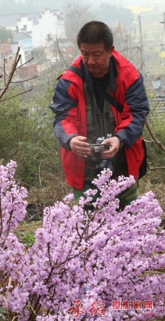 江南之春