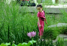 花季