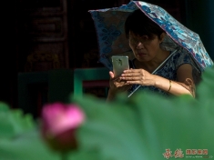 精心构图