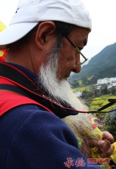 欣赏春天