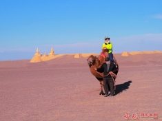 走进沙漠的女人