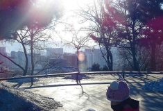 宝宝和她的宠物