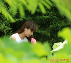荷塘秀女