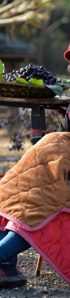 卖黑莓果的商贩