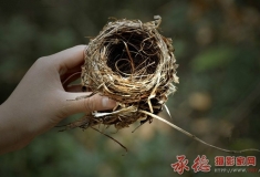 被雕刻的岁月（人文）