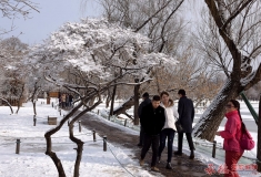 正月初六游山庄