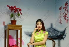 梦回江南有佳人