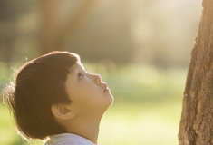 家有宝贝（二）