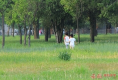 别怕，跟我走没错的！