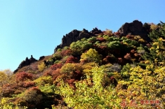 “大招旅游杯”森林，温泉秋季摄影大赛{层林尽染}