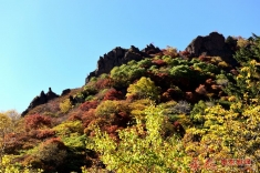 “大招旅游杯”森林，温泉秋季摄影大赛{层林尽染}