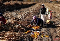 【2016人像摄影大赛】一年之季