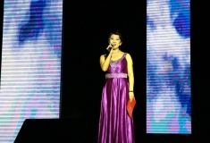 承德2015年惠民生新春演出(一）