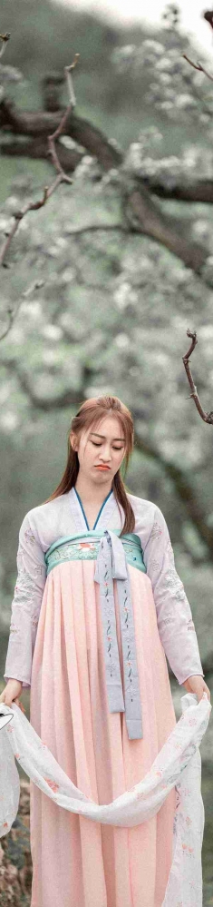 汉服一组