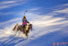 雪原驰骋