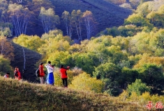 总版主评析—2015—57  自然与人文的美丽结合