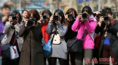 qishe齐射（摄）